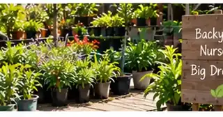 Potted plants arranged in a compact sunny backyard nursery beside a wooden nursery sign